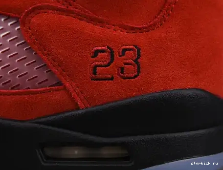 DD0587-600 Bulls Retro Jordan Raging 5 AIR (2021) Red DD0587-600 0527